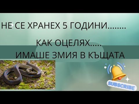 Видео: НЕ СЕ ХРАНЕХ 5 ГОДИНИ...... КАК ОЦЕЛЯХ? ИМАШЕ ЗМИЯ В КЪЩАТА!