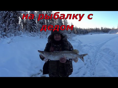 Видео: С дедом на таёжную реку. Щука и окунь на виб.