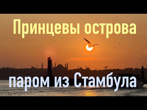 Видео: Как добраться на Принцевы острова на пароме #путешествия #советы #стамбул #турция #паром