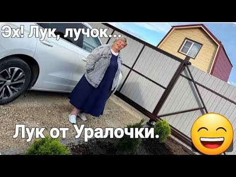 Видео: Обзор от 30 августа 2025г. Питомник.