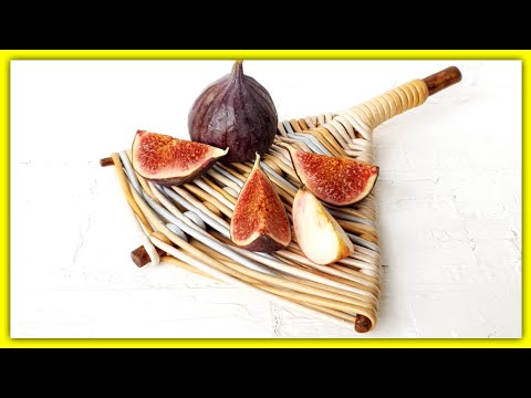 Видео: Так вот зачем мне КОРЯЖКИ! Моя новая любовь😋