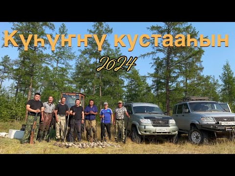 Видео: Күһүҥҥү кустааһын