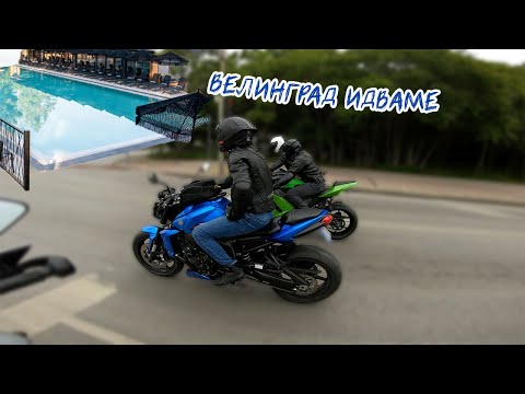 Видео: ГОНИМ СТУДА И ЛУКСА ВЪВ ВЕЛИНГРАД!