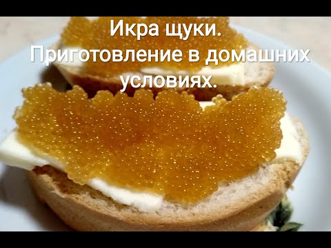Видео: Икра щуки. Приготовление в домашних условиях. Беларусь, Гродно 2024 г. Salting fish roe. Pike caviar
