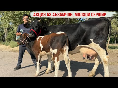Видео: 19 сентября 2025 г.