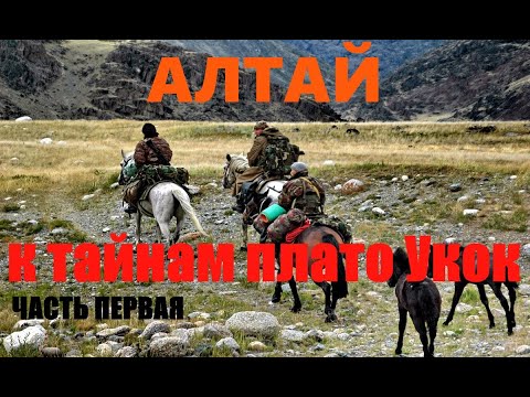 Видео: Алтай. К тайнам плато Укок. Часть первая....Александр Редько