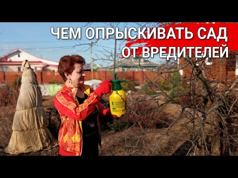 Видео: ЧЕМ ОПРЫСКИВАТЬ САД от вредителей