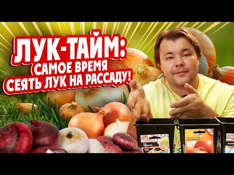 Видео: ЛУК-ТАЙМ: Самое время сеять лук на рассаду!