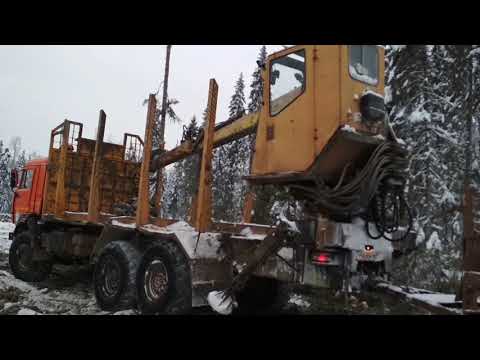 Видео: ТДТ-55 трелевка леса