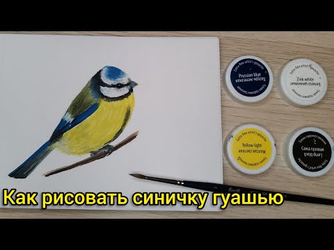 Видео: Как рисовать синичку гуашью.