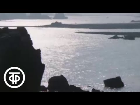 Видео: В.Гюго. Труженики моря. Серия 3. Океан (1986)