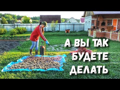 Видео: Обработка от колорадского жука. Жизнь в деревне, посадка картошки.