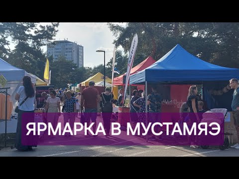 Видео: Осенняя ярмарка в нашем районе-чем торгуют // Что хотела купить // Неожиданное угощение //