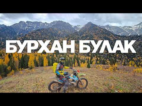 Видео: Бурхан Булак '23
