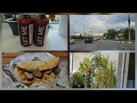 Видео: VLOG 17.08.2025г Мое утро/ Комнатные растения/ Мой заказ с Wb/ Мой обед/ Укладка на  короткие волосы