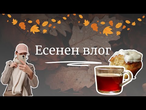 Видео: Есенен влог🍁| писане, изложба и размислите на една студентка 