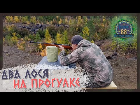 Видео: Регион 88 | Два лося на прогулке. ЛОСЬ 7-1,308win. ЛОСЬ-КО 9+53