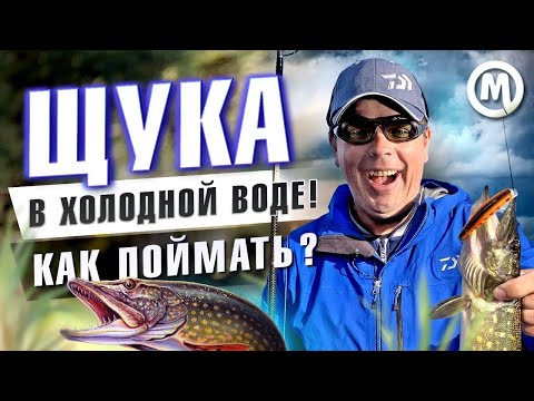 Видео: ЩУКА в холодной воде! ТОП приманок!