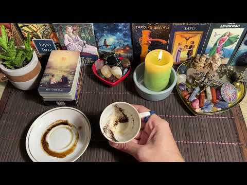 Видео: Чашка дня‼️