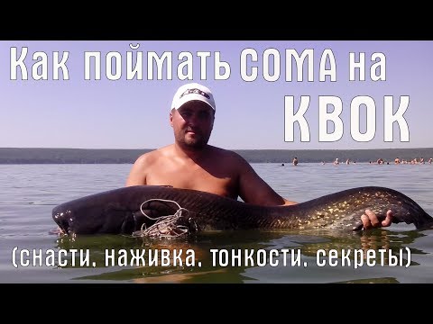 Видео: !!СЕКРЕТЫ ЛОВЛИ СОМА НА КВОК!! ЛУЧШАЯ ОСНАСТКА И НАЖИВКА. РЫБАЛКА С КВОКОМ НА СОМА