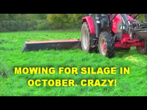 Видео: КОШЕНИЕ НА СИЛОС В КОНЦЕ ОКТЯБРЯ. БЕЗУМИЕ!
