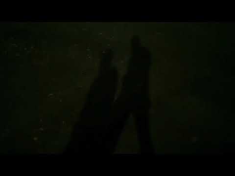 Видео: ночной разговор о заблуждениях