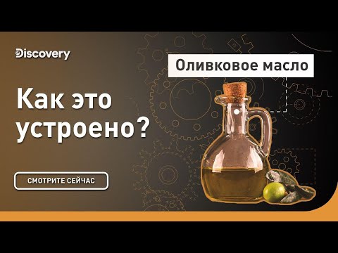 Видео: Оливковое масло | Как это устроено? | Discovery