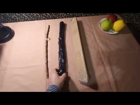 Видео: Як зберігати живці до щеплення. Кісточка манжурського персика 2024.