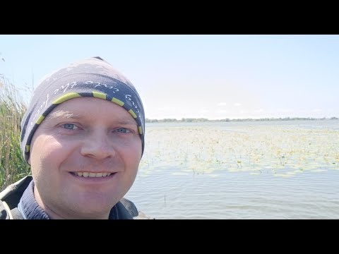 Видео: Вечір на водосховищі рибалимо з обрива