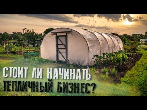 Видео: Ошибки старта тепличного бизнеса. Перед тем как делать, это обязательно надо знать