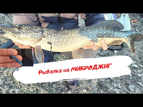 Видео: Рыбалка на ЩУКУ Северский Донец. Щука на спиннинг ультралайт.