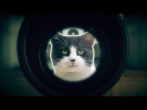 Видео: в поисках shooter'a