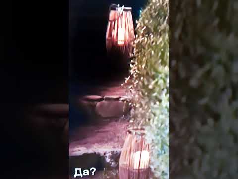 Видео: Красимир чака Ана Шермин да заспи