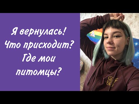 Видео: ВОЗВРАЩЕНИЕ НА ЮТУБ: ЧТО ИЗМЕНИЛОСЬ?