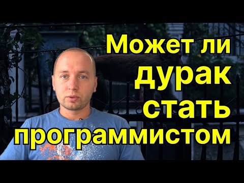 Видео: Может ли дурак стать программистом?