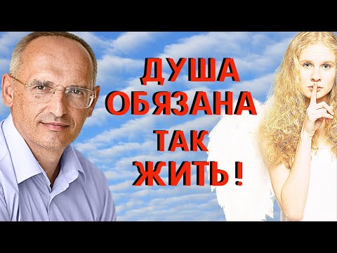 Видео: Душа родилась для ПОБЕДЫ! Никогда НЕ СДАВАЙСЯ! Торсунов О.Г.