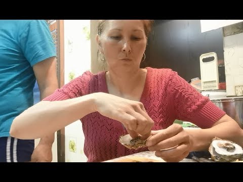 Видео: На море отлив.  Устрица
