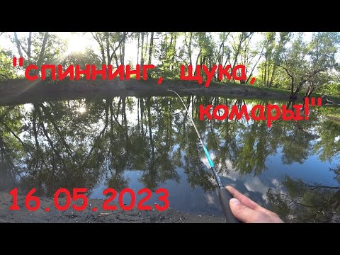 Видео: "Спиннинг, щука, комары!" 16.05.2023, река "Осередь", река "Дон".