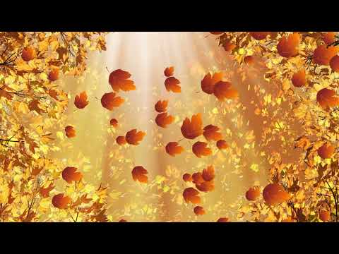 Видео: Интро на концовку: осень