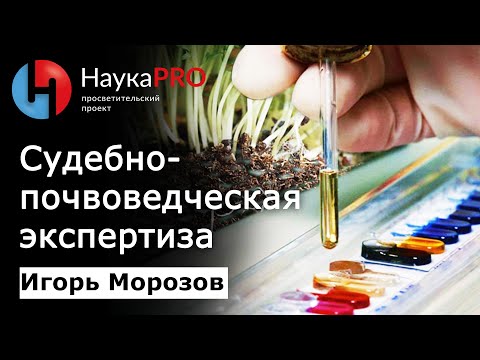 Видео: Судебно-почвоведческая экспертиза | Лекции по криминалистике – судмедэксперт Игорь Морозов | Научпоп