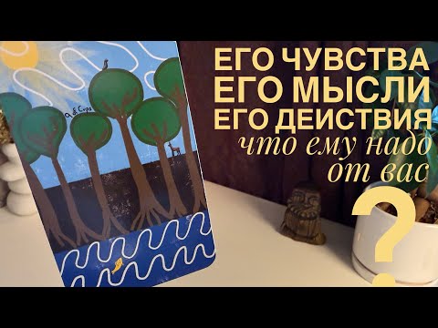 Видео: Его чувства. Его мысли. Его действия. Что ему надо от вас?