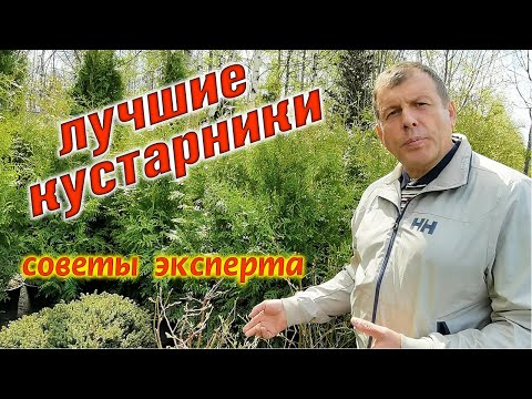 Видео: Тайны выбора кустарников для сада, как выбрать растения🌿