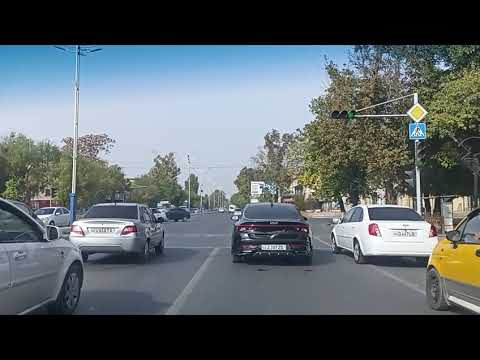 Видео: 1 ноября 2025 г.