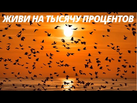 Видео: №8. ОШО. ЖИВИ на Тысячу ПРОЦЕНТОВ! Вечерние Медитации. Саморазвитие