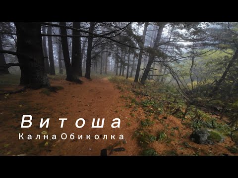 Видео: Кална обиколка по Витошки