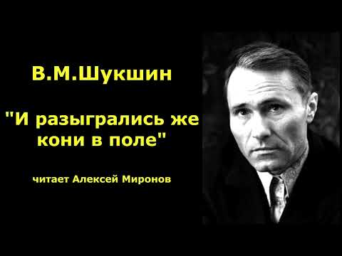 Видео: Василий Шукшин. "И разыгрались же кони в поле"