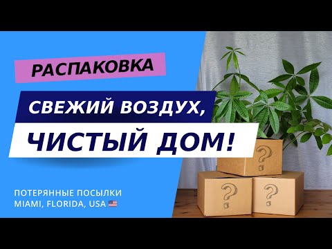 Видео: Распаковка потерянных посылок - такого точно не ожидали!