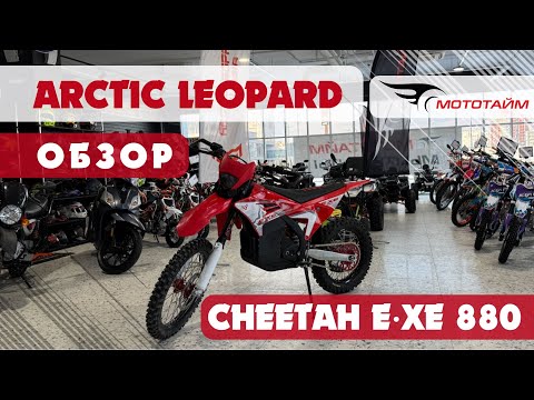 Видео: Обзор ARCTIC LEOPARD CHEETAH E-XE 880