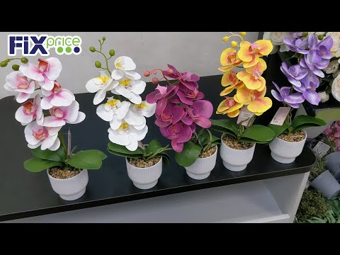 Видео: ФИКС ПРАЙС РАЗОШЁЛСЯ на конец лета. Ушла с покупками
