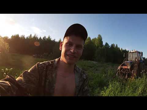 Видео: Посев полей для кабана и медведя! Биотехния 2020!